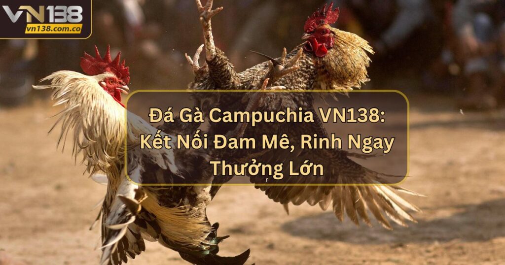 Đá Gà Campuchia VN138: Kết Nối Đam Mê, Rinh Ngay Thưởng Lớn 1 Đá Gà Campuchia VN138: Kết Nối Đam Mê, Rinh Ngay Thưởng Lớn