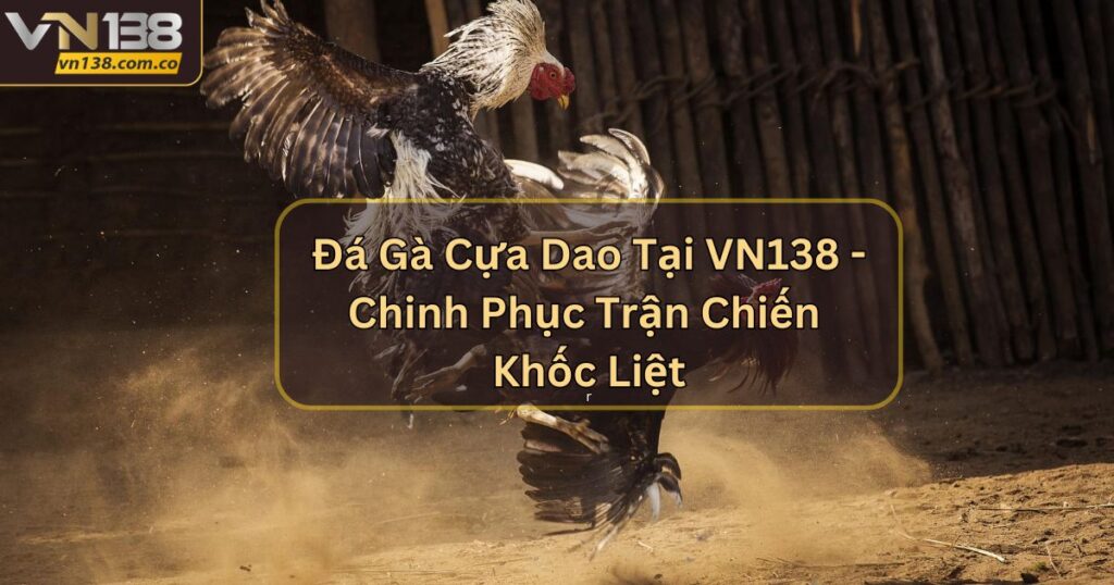 Đá Gà Cựa Dao Tại VN138 - Chinh Phục Trận Chiến Khốc Liệt 2 Đá Gà Cựa Dao Tại VN138 - Chinh Phục Trận Chiến Khốc Liệt