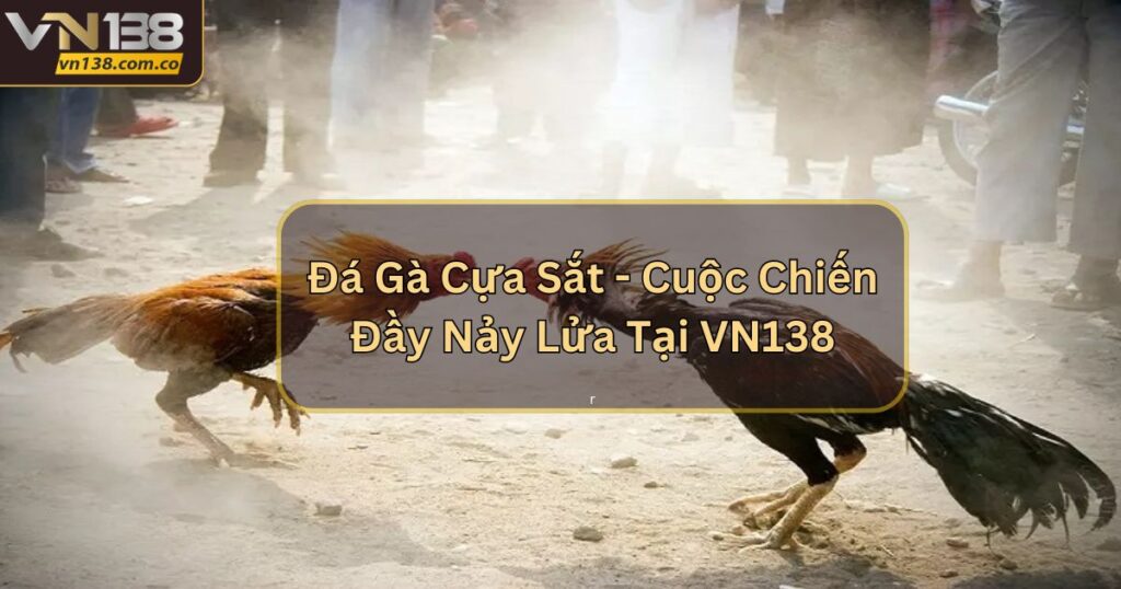 Đá Gà Cựa Sắt - Cuộc Chiến Đầy Nảy Lửa Tại VN138 3 Đá Gà Cựa Sắt - Cuộc Chiến Đầy Nảy Lửa Tại VN138