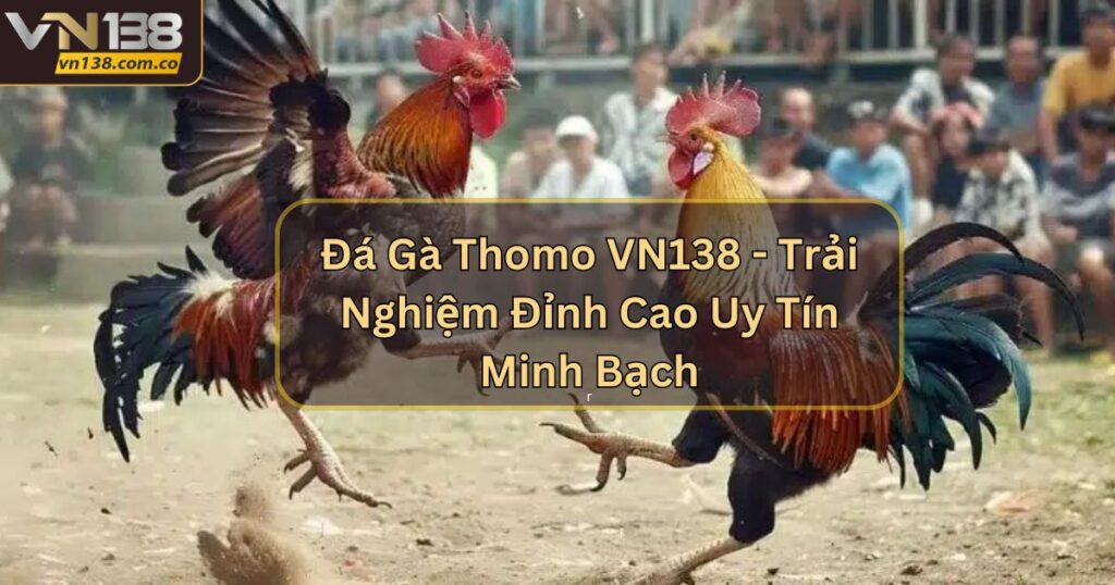 Đá Gà Thomo VN138 - Trải Nghiệm Đỉnh Cao Uy Tín Minh Bạch 10 Đá Gà Thomo VN138 - Trải Nghiệm Đỉnh Cao Uy Tín Minh Bạch