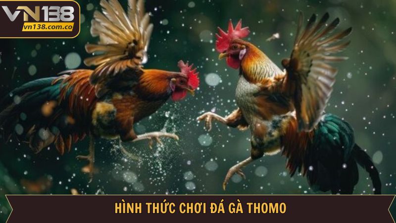 Đá Gà Thomo VN138 - Trải Nghiệm Đỉnh Cao Uy Tín Minh Bạch 4 Những hình thức cá cược cực hot mà địa chỉ đã đem tới người dùng