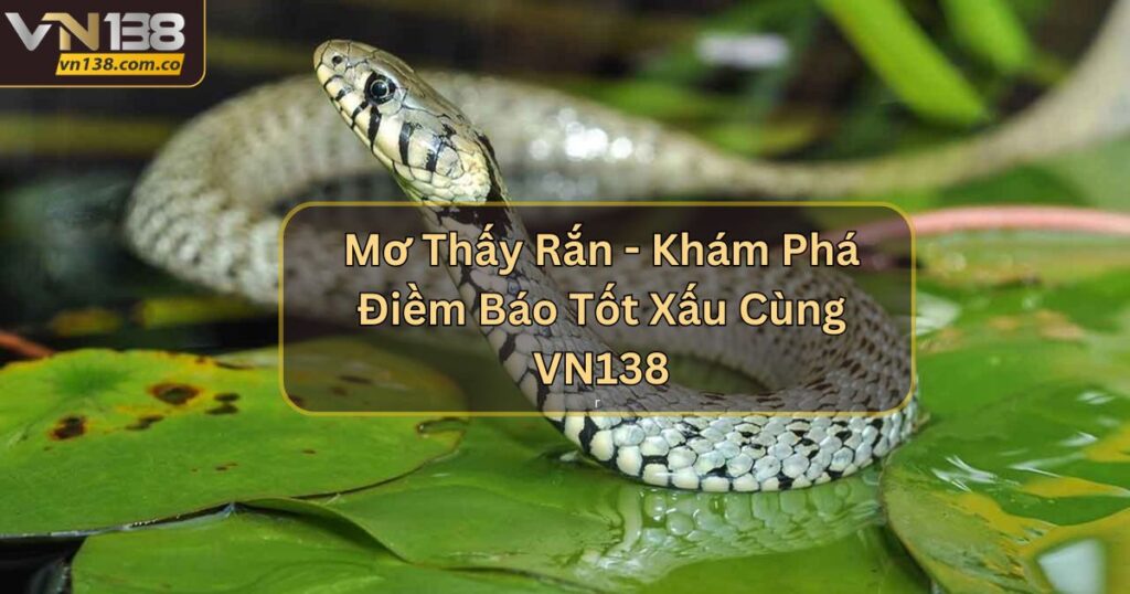 Mơ Thấy Rắn - Khám Phá Điềm Báo Tốt Xấu Cùng VN138 1 Mơ Thấy Rắn - Khám Phá Điềm Báo Tốt Xấu Cùng VN138