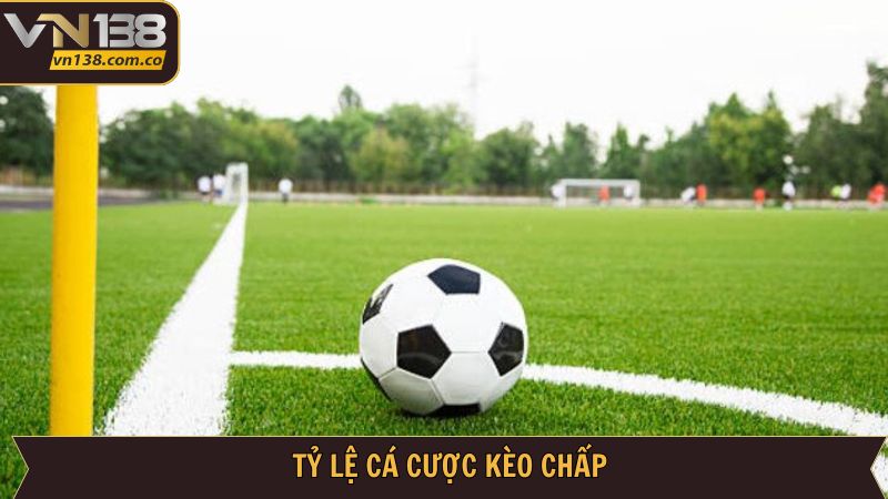 Tổng hợp các tỷ lệ trong kèo chấp của nhà cái